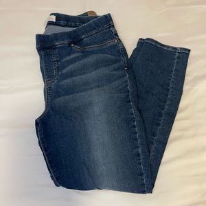 Pull On Levi Strauss Signature Skinny Jeans